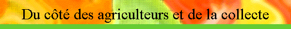 Du ct des agriculteurs et de la collecte
