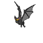 Retour_animaux_vecteurs