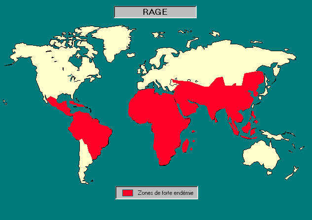 Carte prsentant les zones d'endmie de la rage