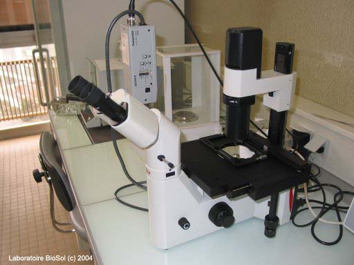 Microscope inversé avec imagerie